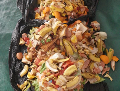 food scraps