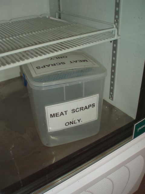 meat scraps 2